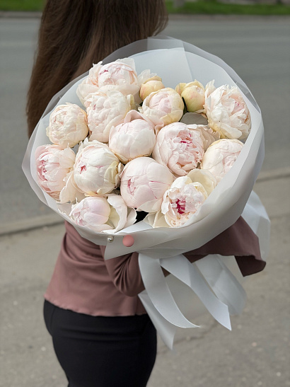Белые пионы 15 шт.