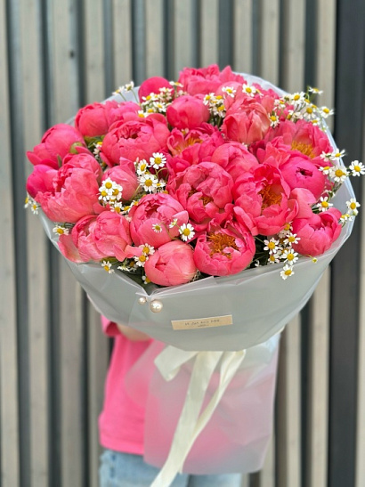 Коралловые пионы 25 шт с ромашками